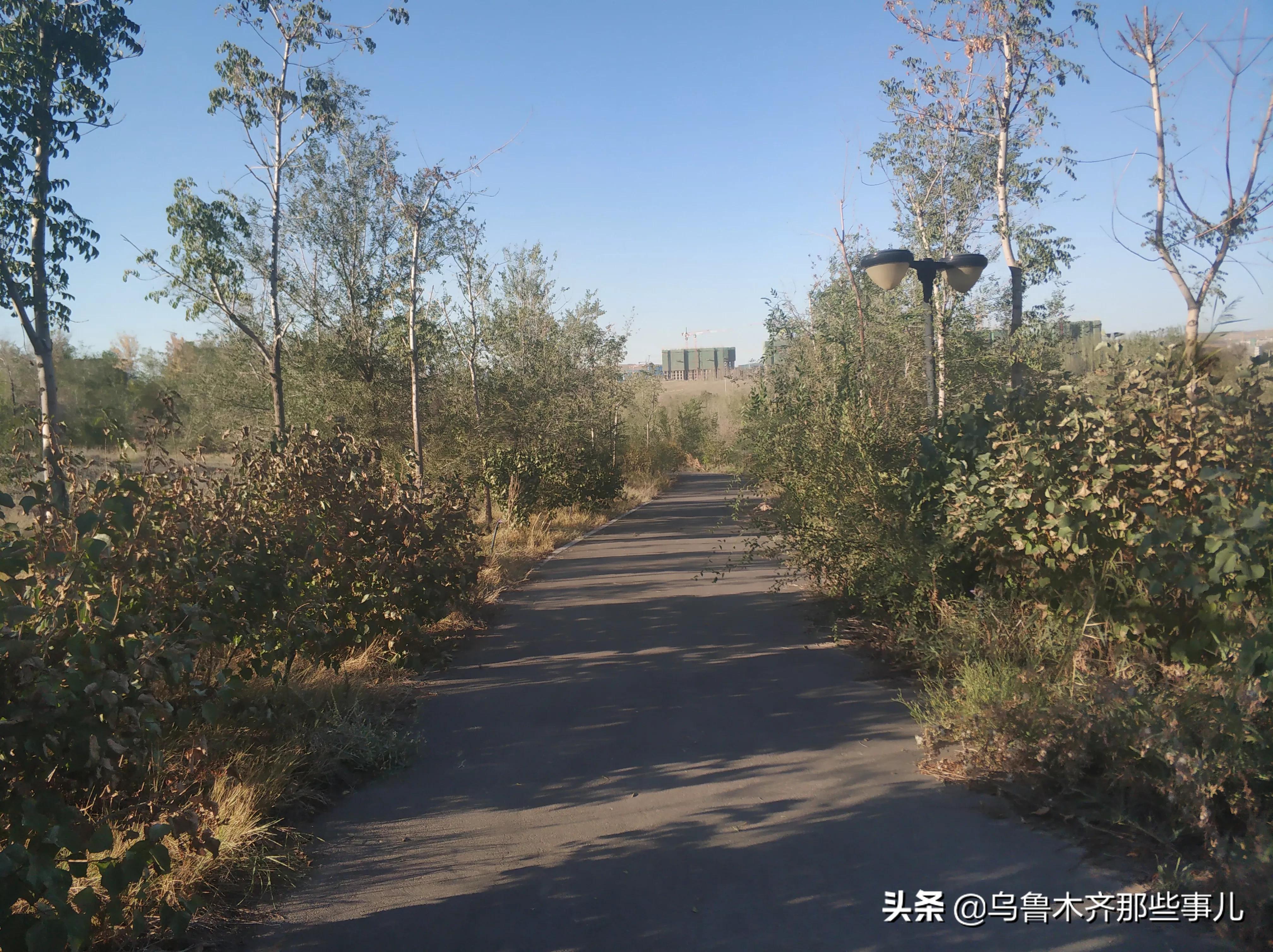 【乌鲁木齐解封了没有?,乌鲁木齐解封官方消息】