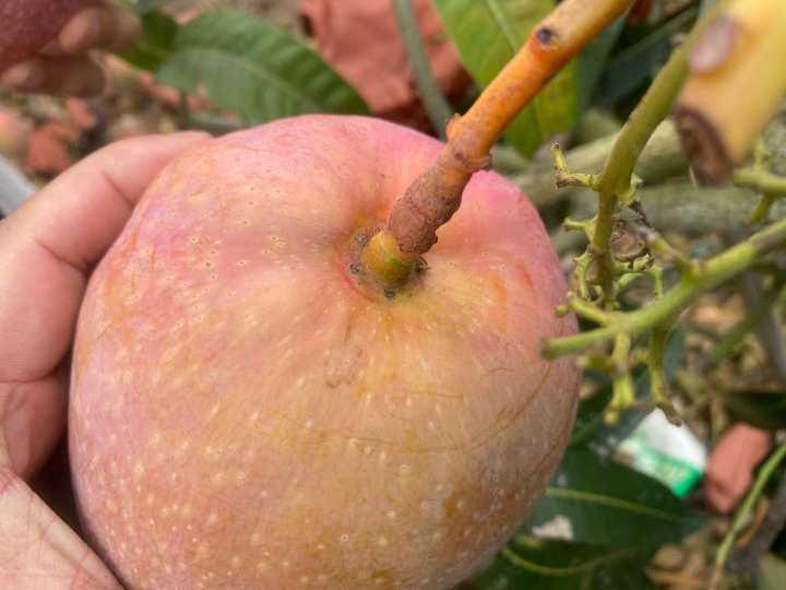 【海南省疫情通知杭州最新消息,海南省疫情防控指挥部最新公告】