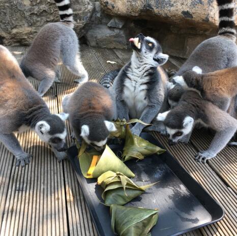 北京市疫情防控工作组(北京市疫情防控中心主任) 北京市疫情防控工作组(北京市疫情防控中心主任)