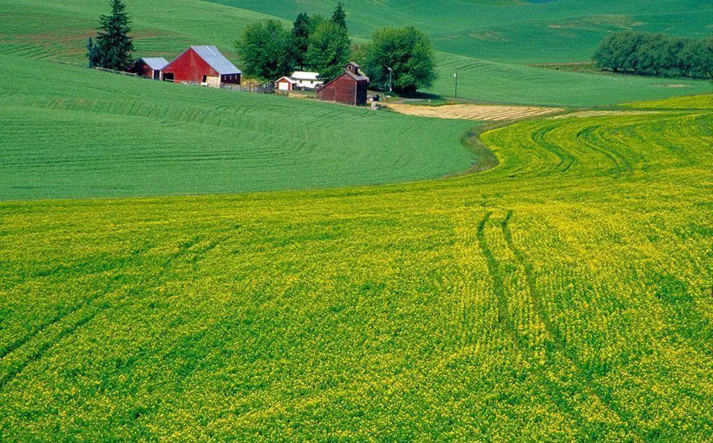 疫情长春封城乌鲁木齐多少天了:长春疫情最新情况,是否进行封闭式管理
