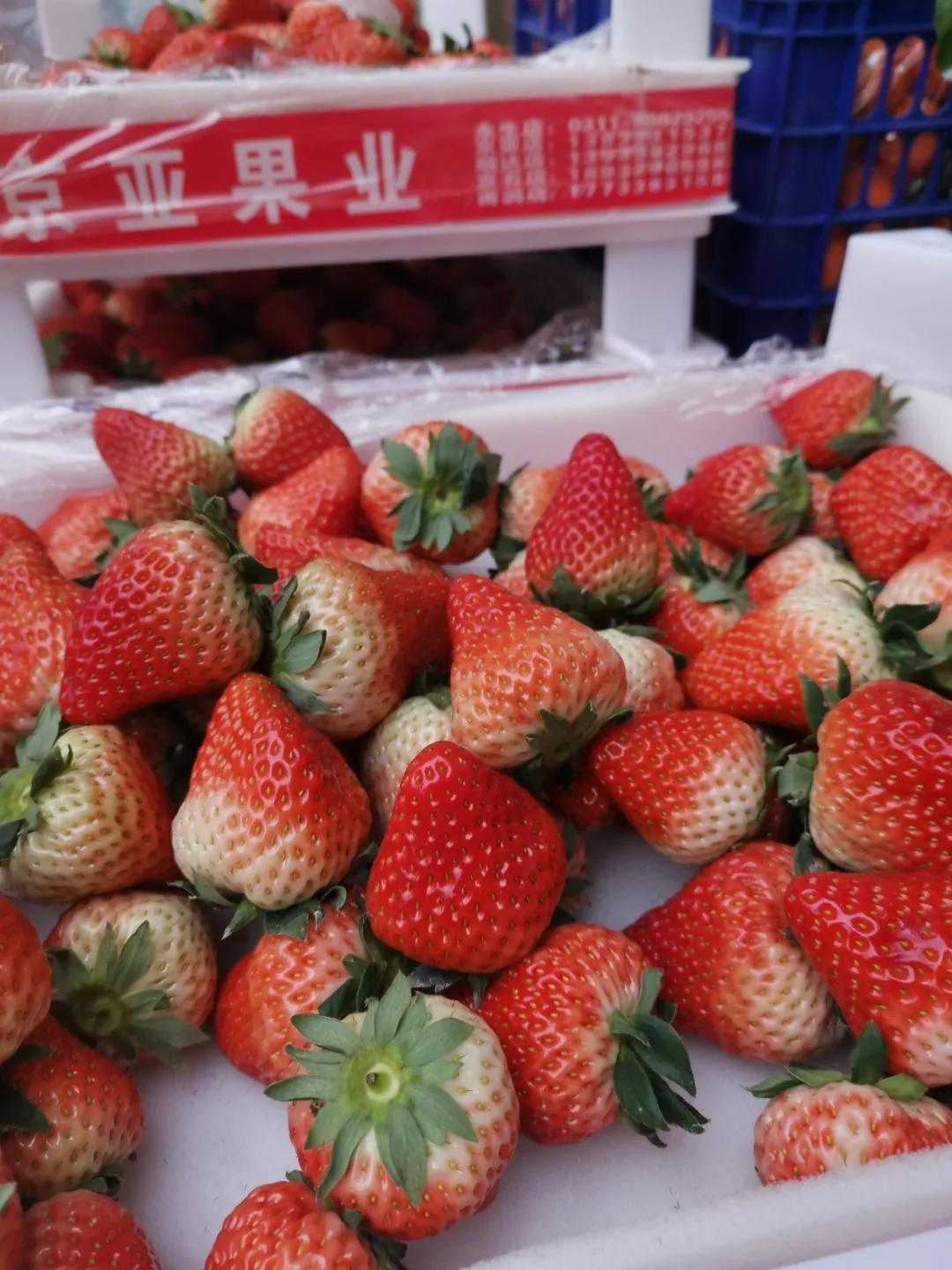 【疫情情况浙江省石家庄最新消息,浙江一例石家庄】