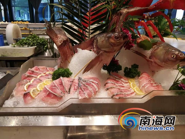【海口重庆火锅/海口哪里有重庆火锅店】
