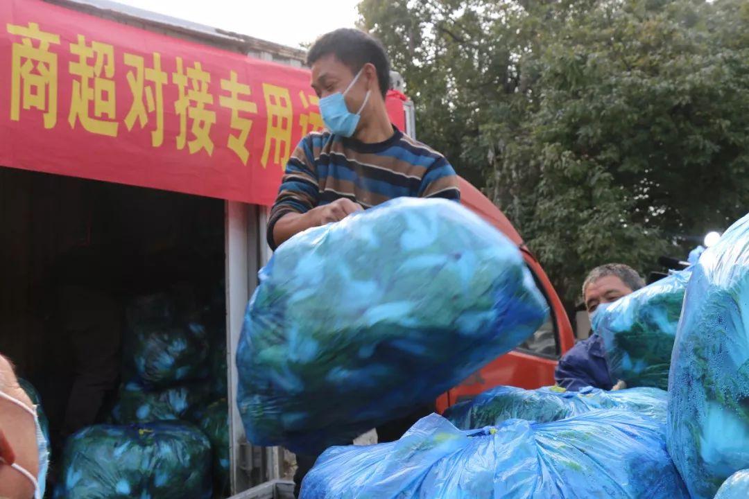 合肥疫情中心电话号码:合肥疫情咨询电话多少