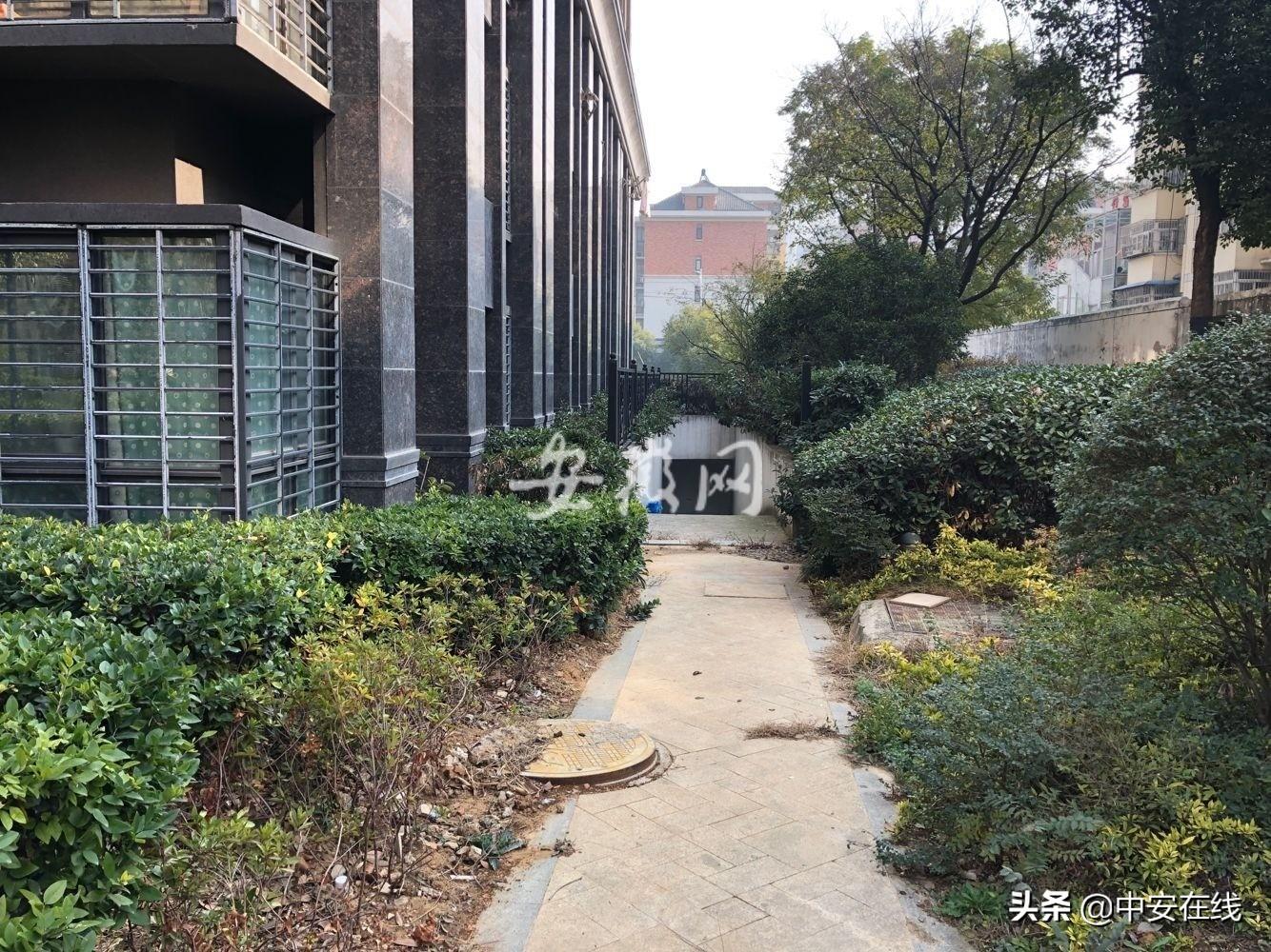 合肥一学校多名学生感染:合肥学生最新坠楼事件