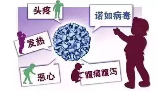 福州近期流行病毒（福州近期流行病毒情况）