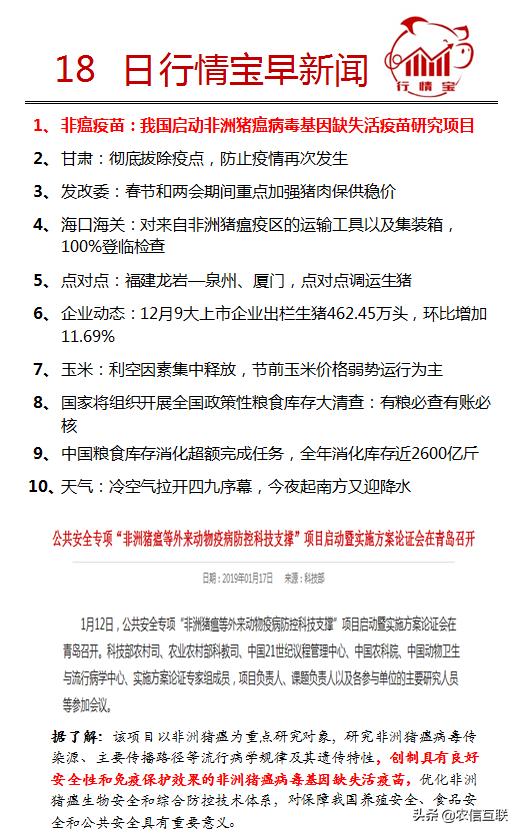 【香港疫情属于什么等级海口病毒,香港是不是疫区】