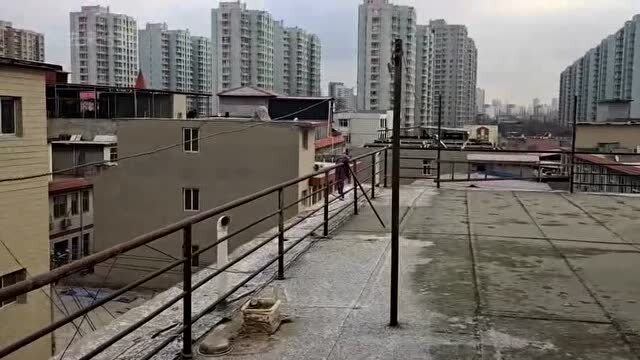 石家庄啥时候封的/石家庄何时开始封城