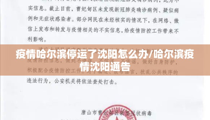 【辽宁沈阳最新通告,辽宁沈阳最新通告今天疫情】 【辽宁沈阳最新通告,辽宁沈阳最新通告今天疫情】