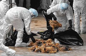 杭州疫情最新死亡人数/杭州疫情死亡病例