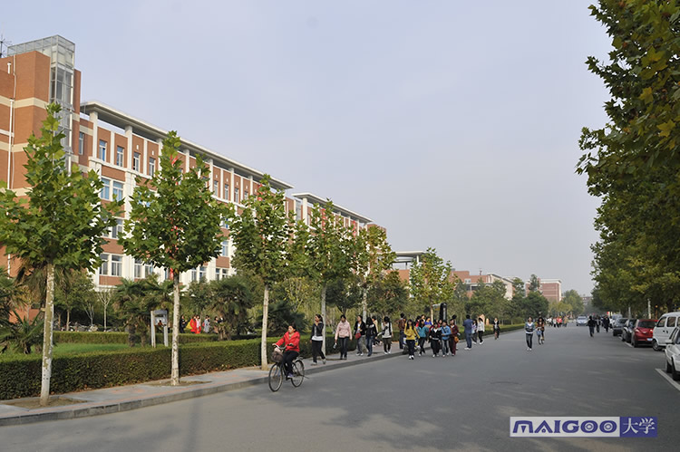 郑州师范学院官方电话/郑州师范学院电话咨询