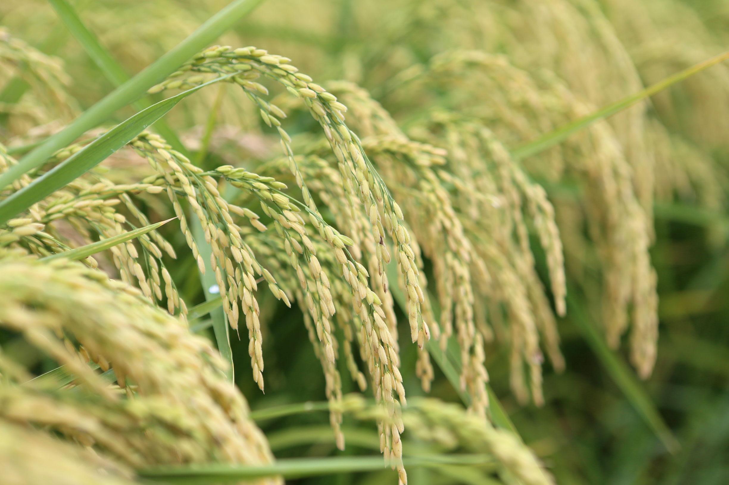 【疫情北京澳门最新消息/疫情速报 北京】 【疫情北京澳门最新消息/疫情速报 北京】