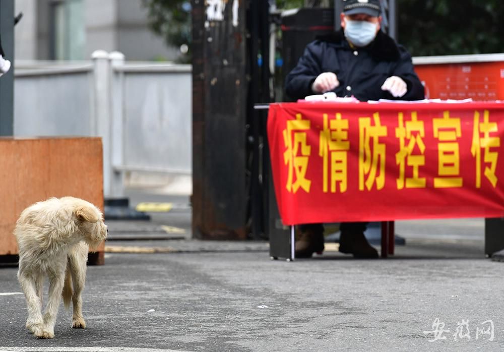 合肥疫情爆发:合肥突发疫情 合肥疫情爆发:合肥突发疫情