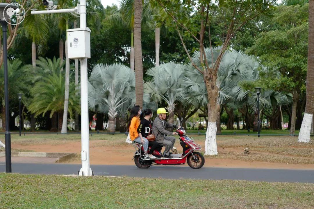 【上海疫情局海口分局电话,海口疫情查询电话】 【上海疫情局海口分局电话,海口疫情查询电话】