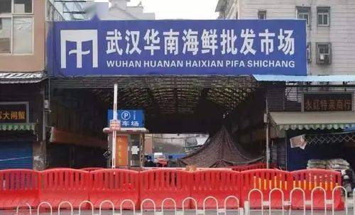 香港疫情政府武汉最新消息(香港役情) 香港疫情政府武汉最新消息(香港役情)