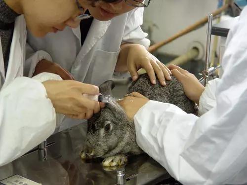 【宁夏回族自治区有新冠肺炎吗/宁夏现在有新冠肺炎患者吗?】 【宁夏回族自治区有新冠肺炎吗/宁夏现在有新冠肺炎患者吗?】